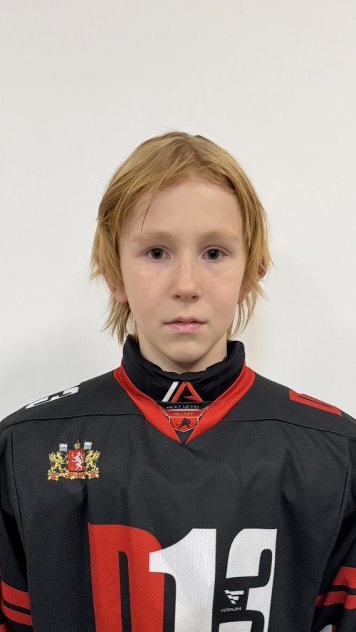 Султанов  Ефим  Денисович