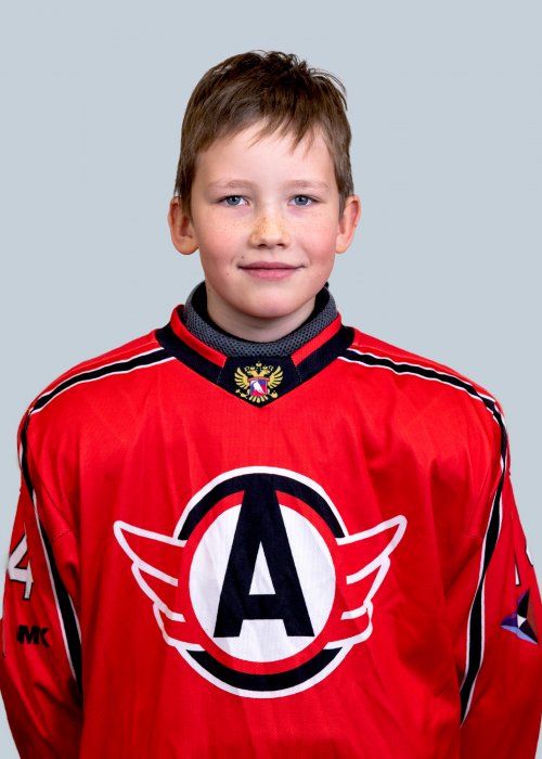 Салтыков  Илья  Дмитриевич