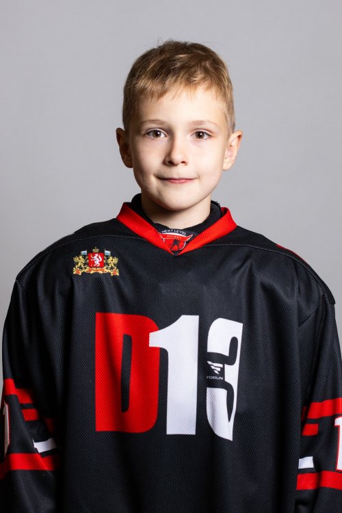 Аверкиев  Павел  Денисович