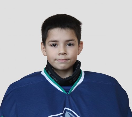 Габдинов  Ролан  Азатович