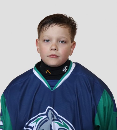 Сиражитдинов  Роман  Александрович