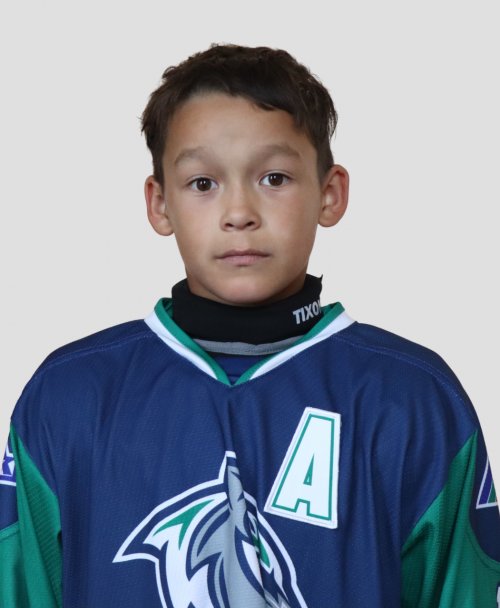 Хамидуллин  Данияр  Ринатович