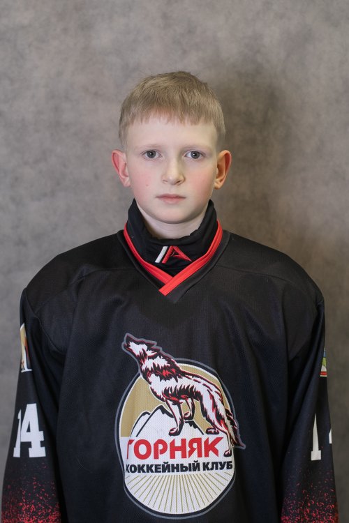 Шишкин  Владимир  Витальевич