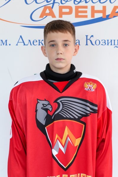 Воронов  Альберт  Петрович