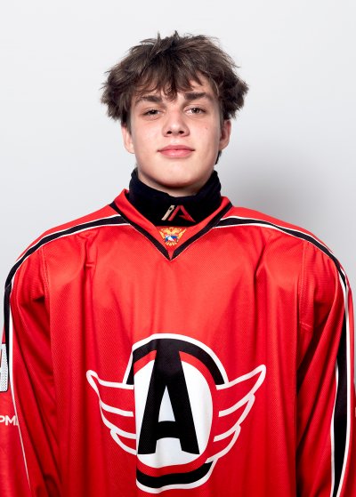 Мозляков  Денис  Владиславович