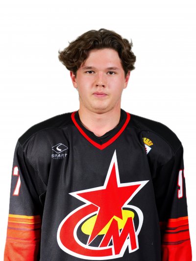 Ибраев  Денис  Витальевич