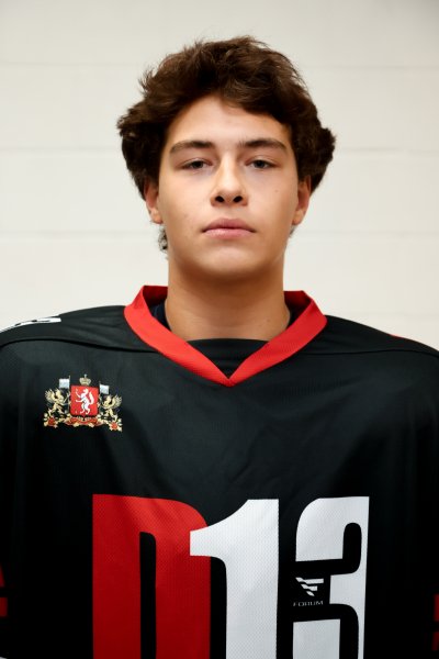 Ефремов  Григорий  Ильич