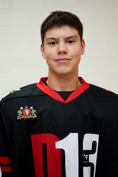 Подоляк  Савва  Ильич