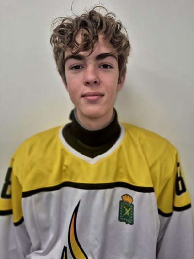 Рогатнев  Всеволод  Дмитриевич