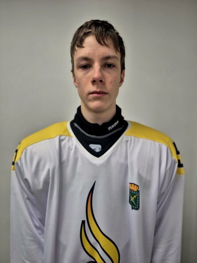 Толмачев  Александр  Михайлович