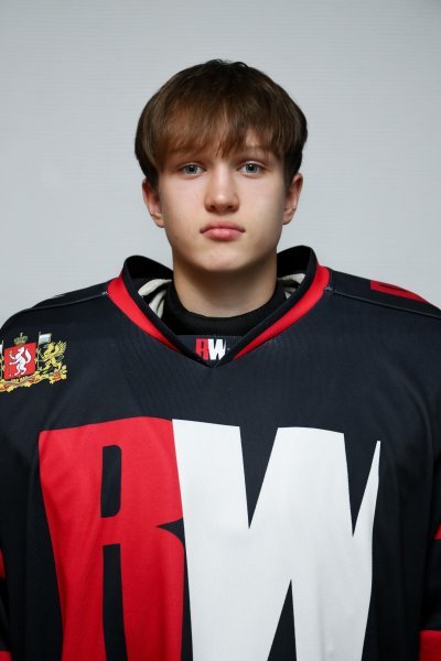 Минеев  Егор  Сергеевич