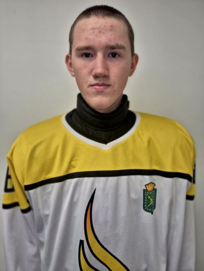 Мясников  Данил  Андреевич