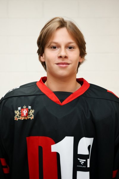 Поляков  Иван  Сергеевич