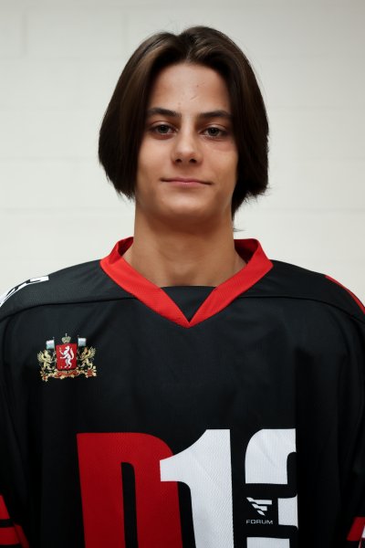 Буткин  Дмитрий  Александрович