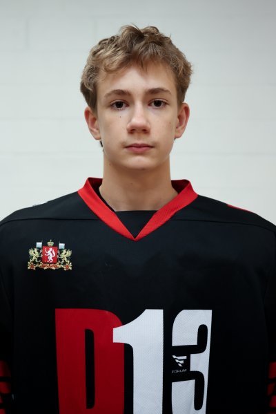 Ульянов  Александр  Игоревич