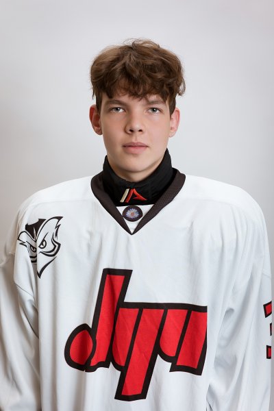 Богомолов  Игнат  Андреевич