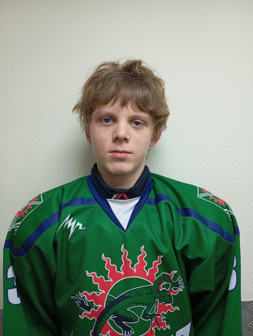 Красногоров  Роман  Александрович