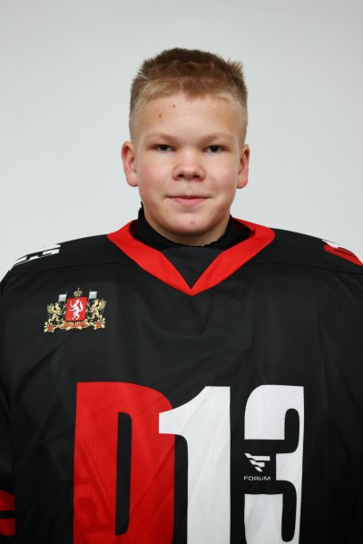 Кульмяков  Дмитрий  Николаевич