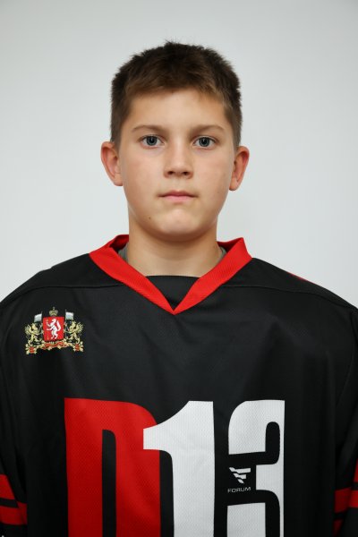 Плотников  Дмитрий  Михайлович