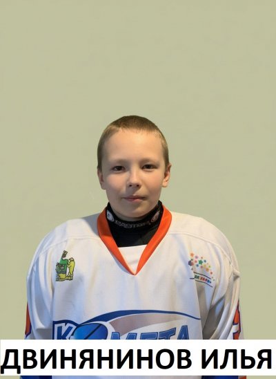 Двинянинов  Илья  Артёмович