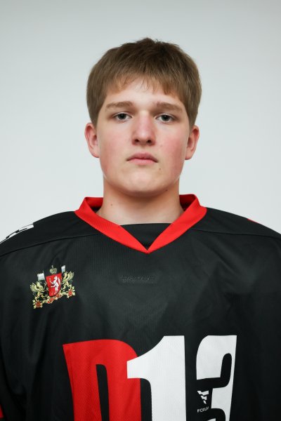 Иванов  Мирон  Игоревич