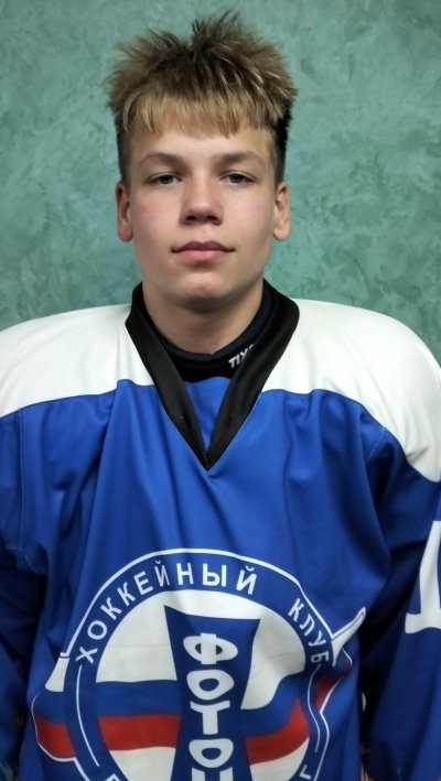 Шарый  Данила  Дмитриевич