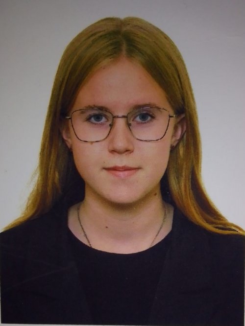 Судья Исакова Александра