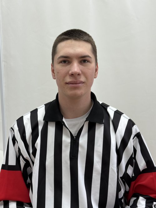 Судья Наумов Николай