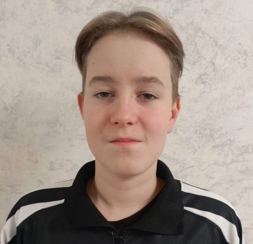 Судья Андронов Даниил